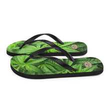 Load image into Gallery viewer, Righteous Bud&#39;s Day Tripper Indica Flip-flops
