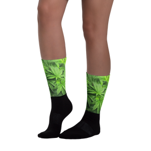 Righteous Bud's Leafy Green Socks