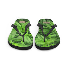 Load image into Gallery viewer, Righteous Bud&#39;s Day Tripper Indica Flip-flops