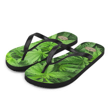 Load image into Gallery viewer, Righteous Bud&#39;s Day Tripper Indica Flip-flops