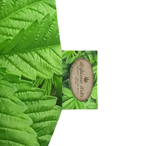 Righteous Bud's Leafy Green Magic Bean Bag Chair w/ filling