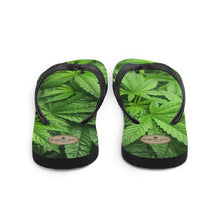 Load image into Gallery viewer, Righteous Bud&#39;s Day Tripper Indica Flip-flops