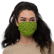 Load image into Gallery viewer, Face mask